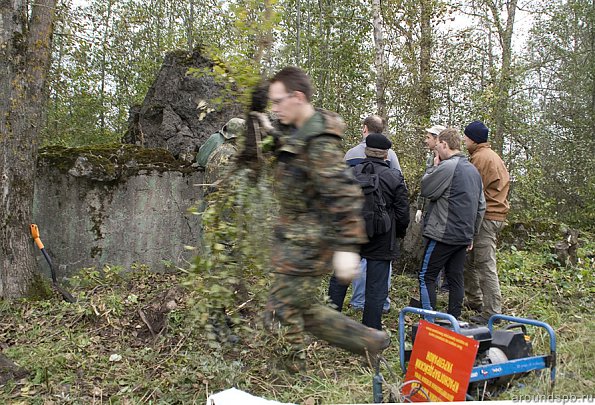 Уборка поваленного дерева